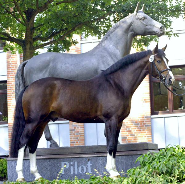 Stud Services from Con Capilot