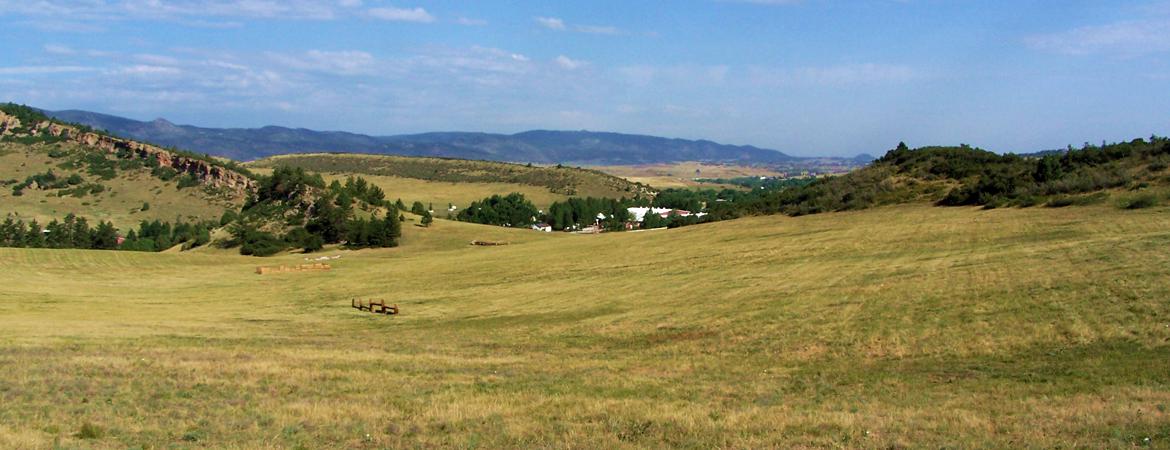 Plum Creek Hollow Equestrian Horse Farm