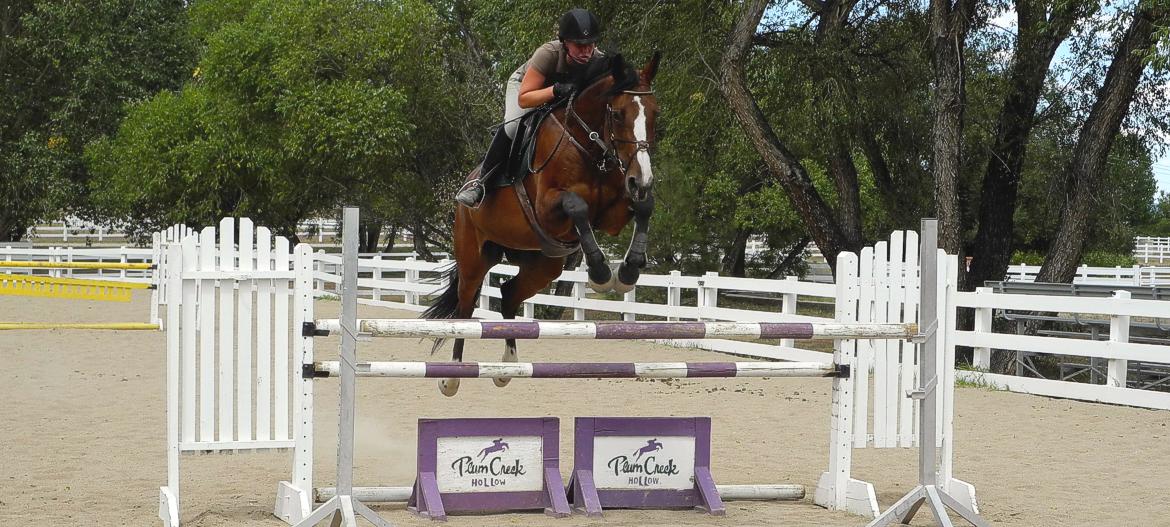 Plum Creek Hollow Equestrian Horse Farm